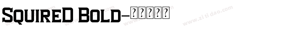 SquireD Bold字体转换